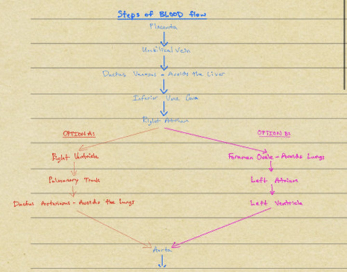 knowt flashcard image