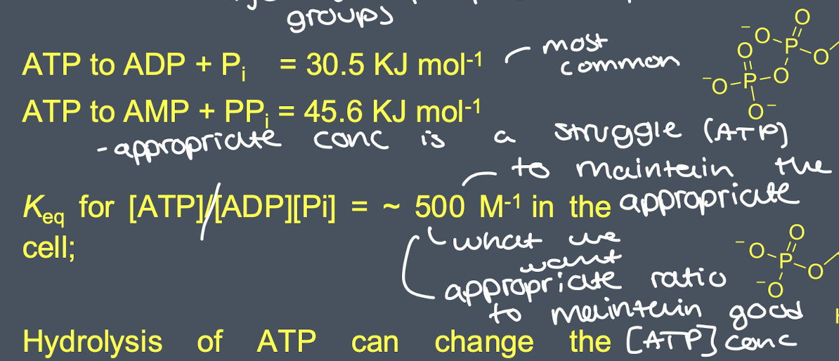 <ul><li><p>reactions are often driven by ATP or pyrophosphate hydrolysis </p></li><li><p>negatively charged Pi groups mean ATP is relatively easily hydrolysed so groups can separate from eachother </p></li><li><p>hydrolysis of ATP can change the equilibrium constant of a coupled reaction by 10^8 per hydrolysed molecule</p></li></ul><p></p>