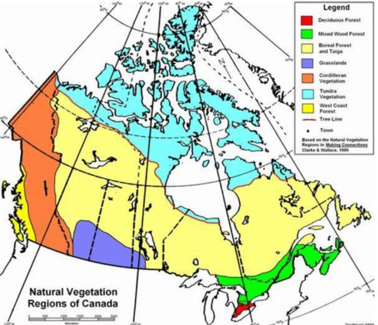 <ol><li><p>Tundra</p></li><li><p>West Coast Forest</p></li><li><p>Cordilleran Vegetation</p></li><li><p>Boreal &amp; Taiga Forest</p></li><li><p>Grassland</p></li><li><p>Mixedwood Forest</p></li><li><p>Deciduous Forest</p></li></ol>