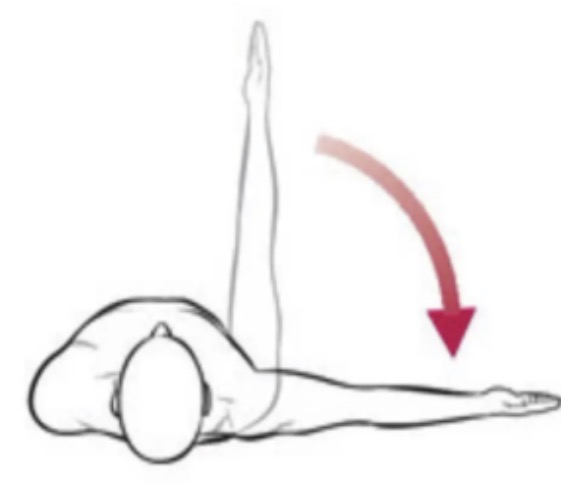 <p>Transverse plane, vertical axis</p>