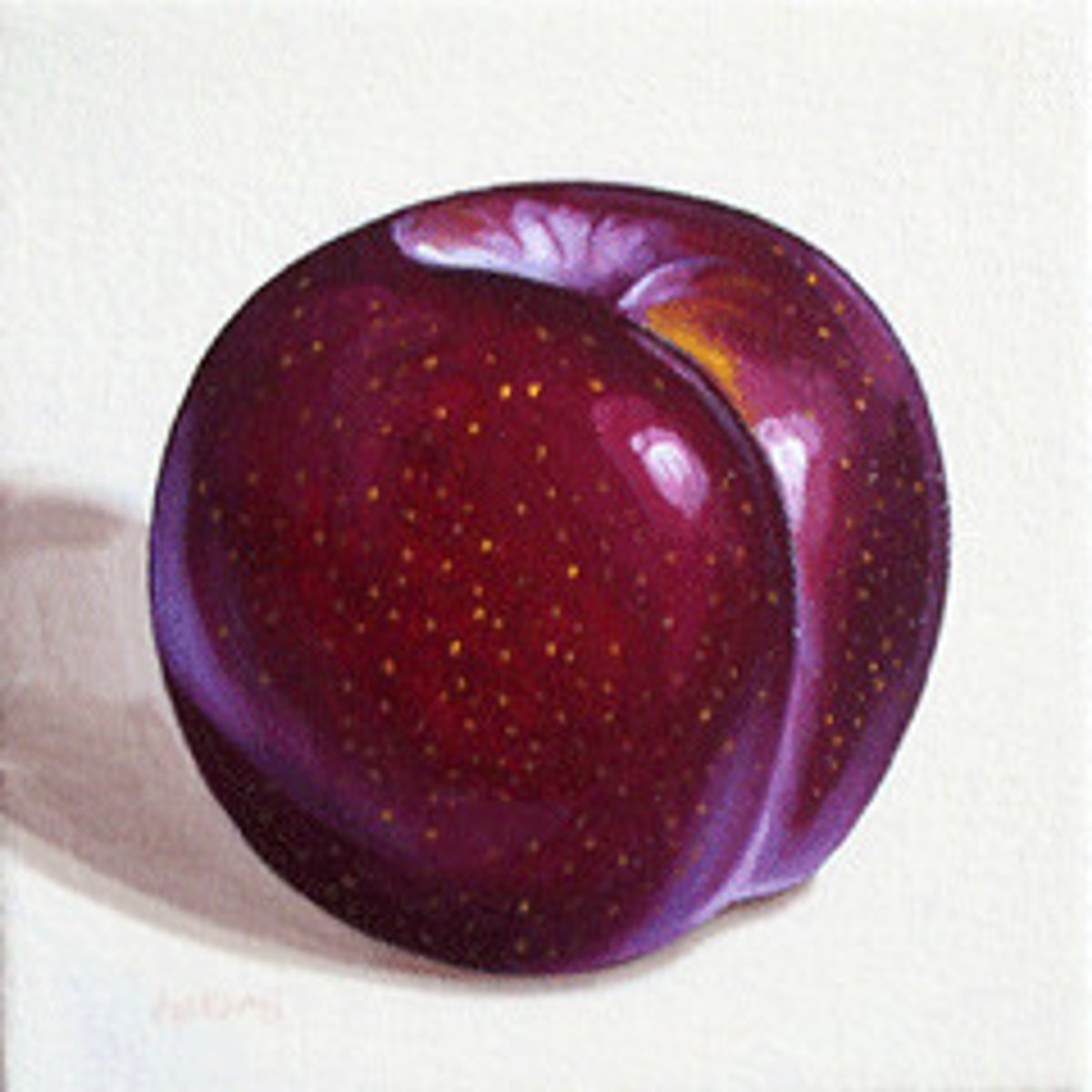 <p>plum</p>