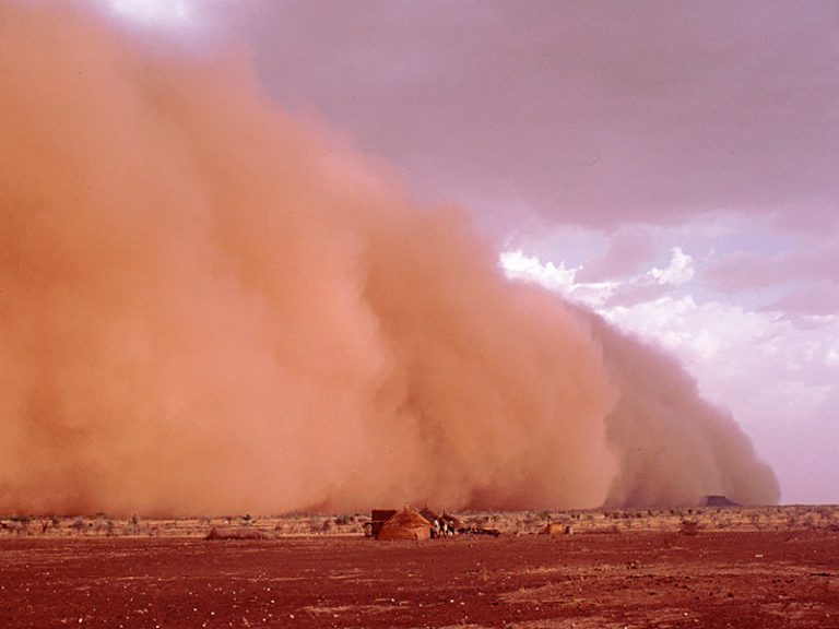 <p>Wind Erosion</p>
