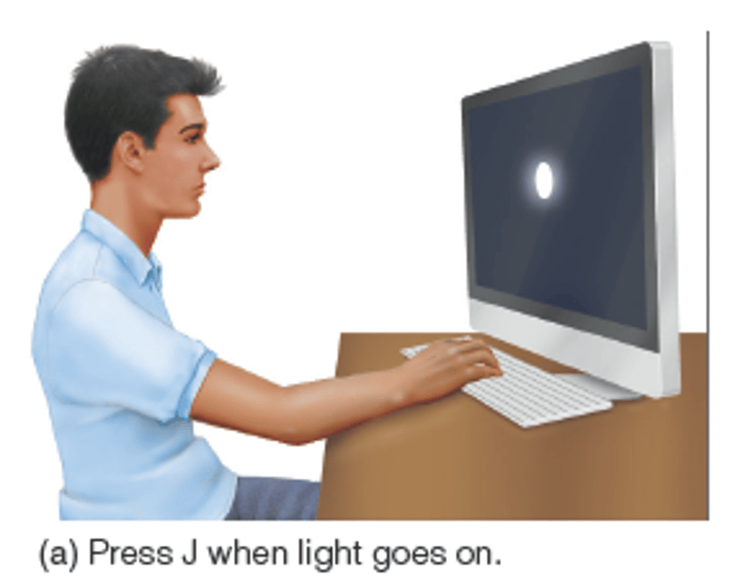 <p>Measurement of how long it takes to respond to a single stimulus</p>