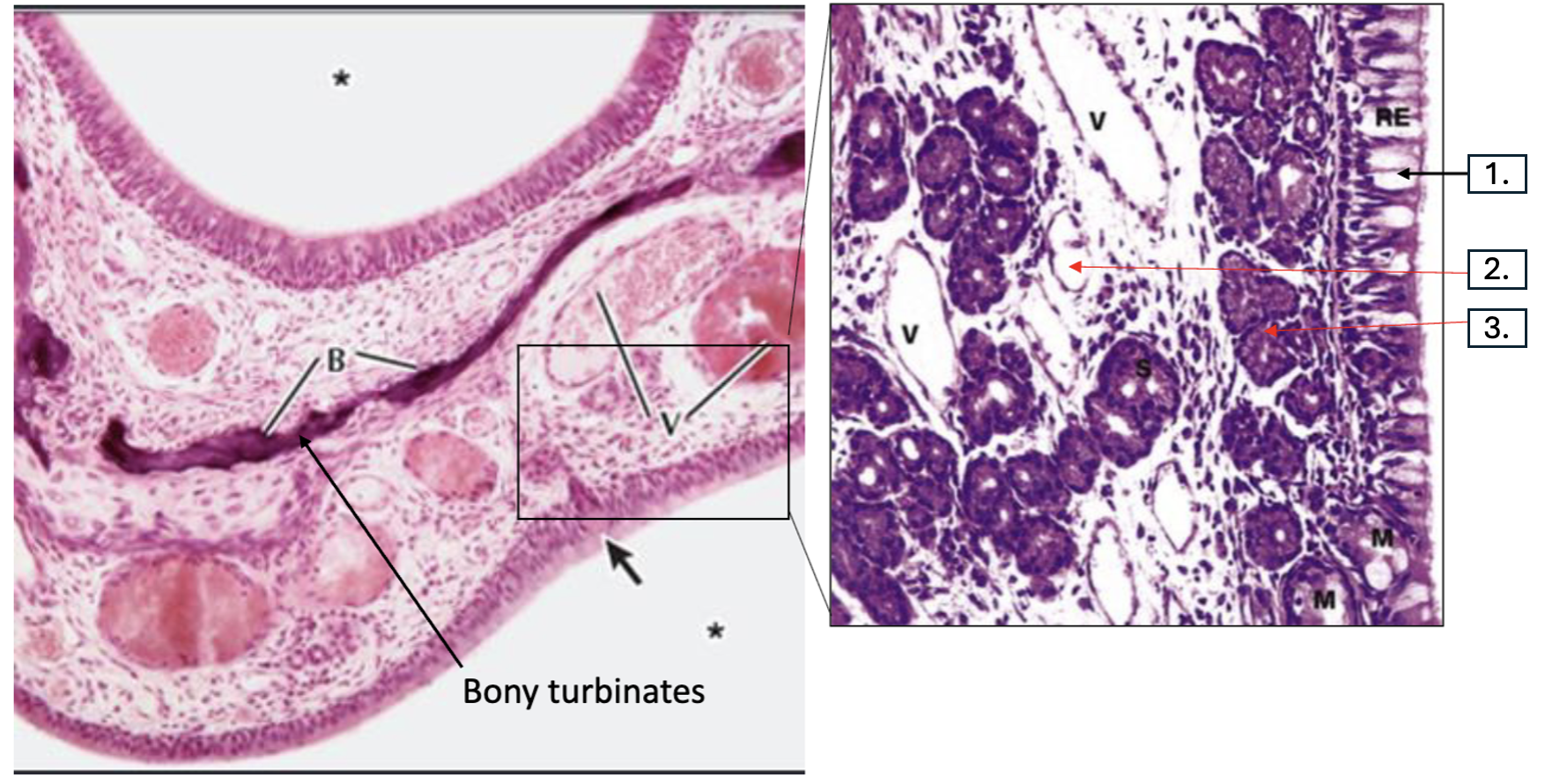 <p>What is number 1?</p>
