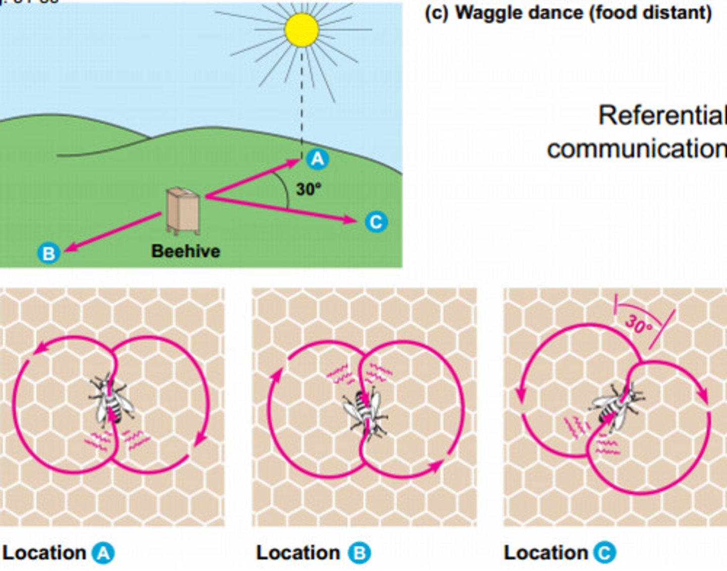 <p>visual communication</p>