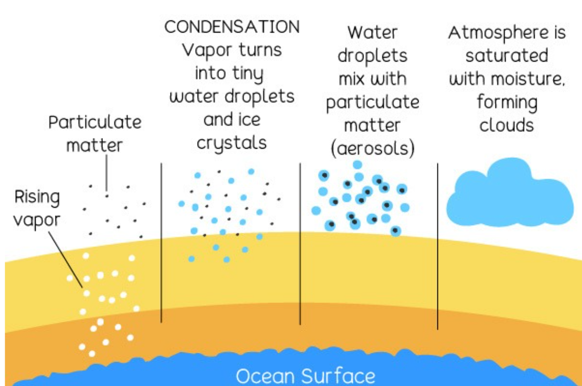 <p class="ds-markdown-paragraph">Warm air rises → cools until <strong>dew point</strong> → condenses on nuclei → clouds.</p><p></p>