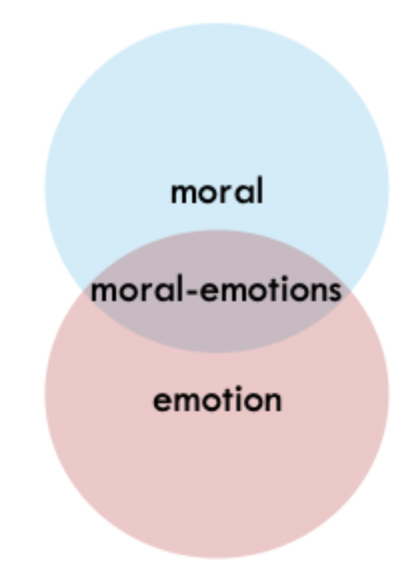 <p>What were the predictors and dependent variable used by Brady et al to examine the role of moral emotions and norm transmission?</p>