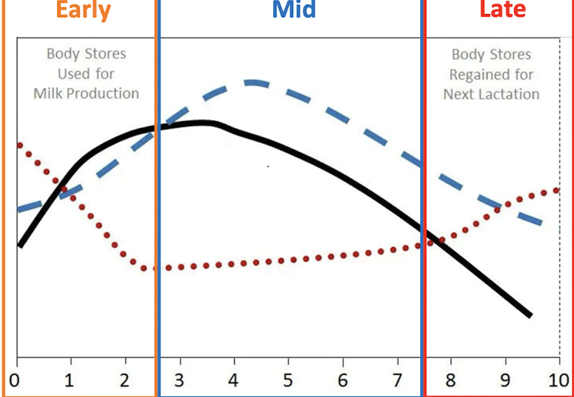 <p>What does the blue, black, and red line show?</p>