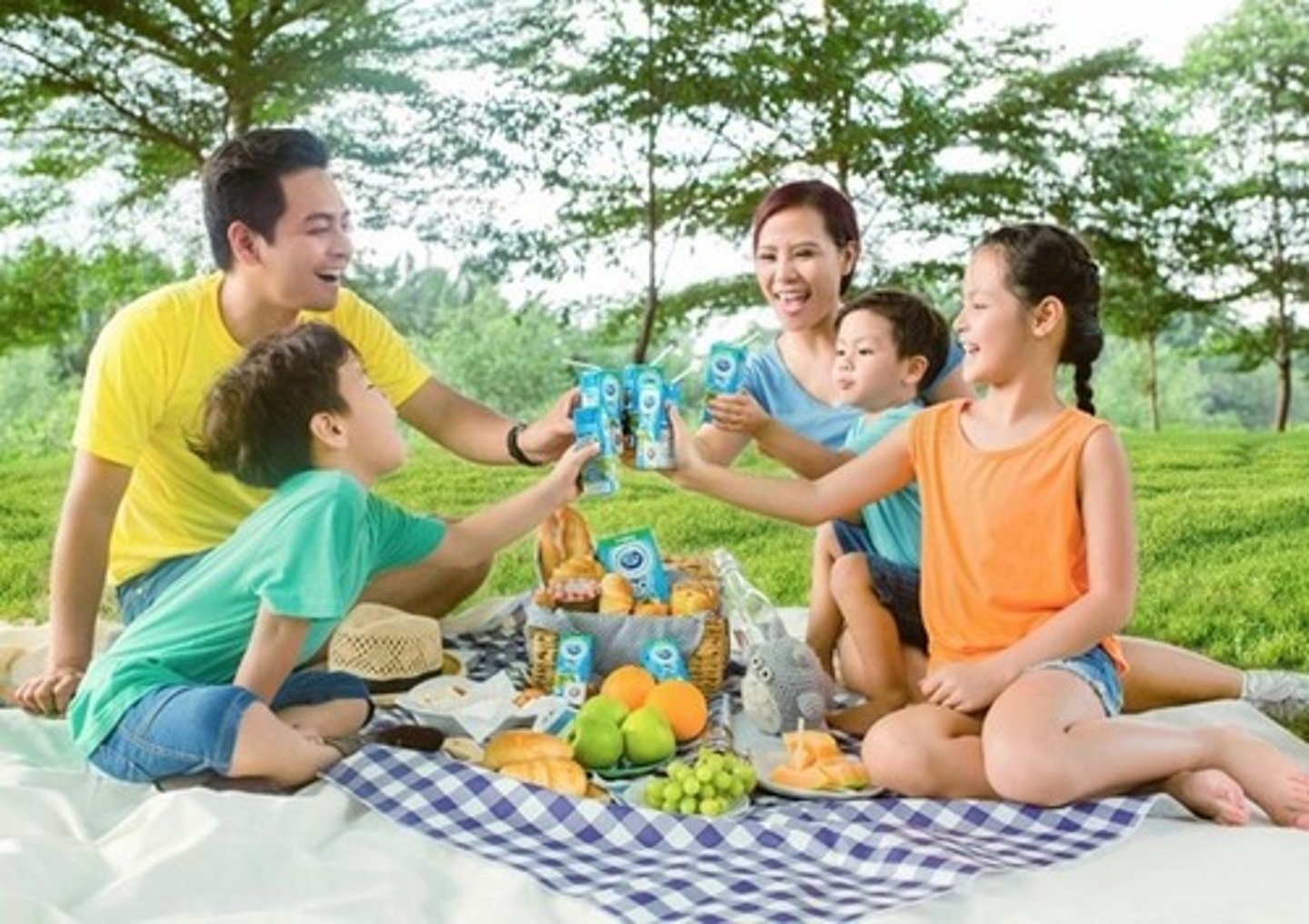 <p>đi dã ngoại</p>