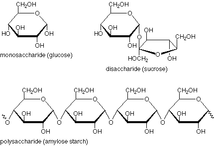 <p><span>Saccharides (sugars) made from carbon chains or rings.</span></p>