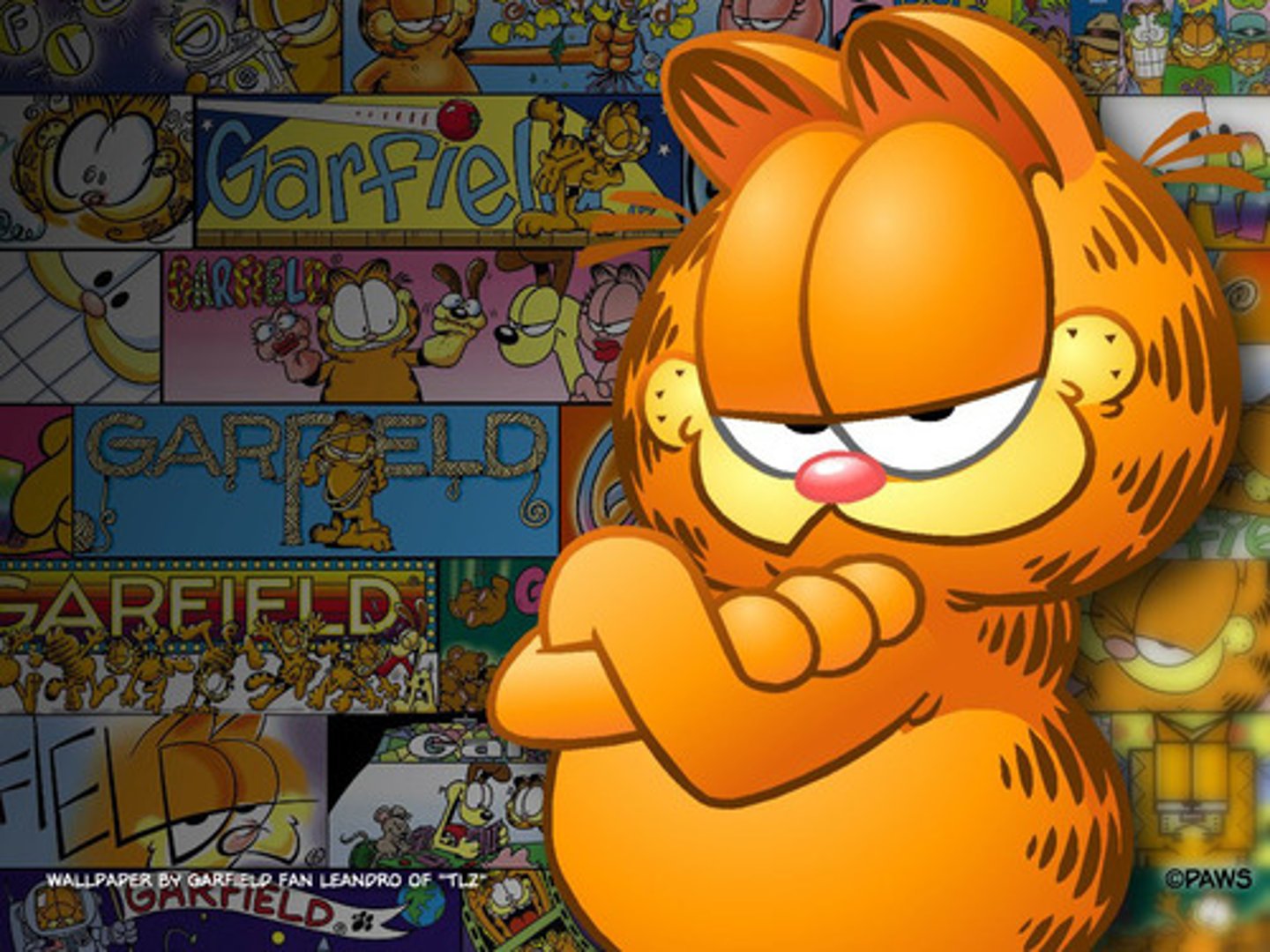 <p>The dog and an orange cat ran.</p>