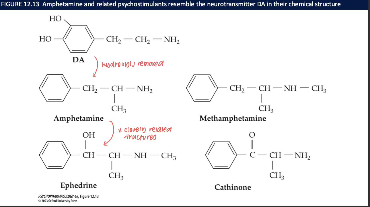<p><strong>DA </strong>→ remove hydroxyls and add methyl = <strong>amphetamines</strong> add a methyl = <strong>methamphetamines</strong></p>