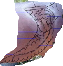 term image