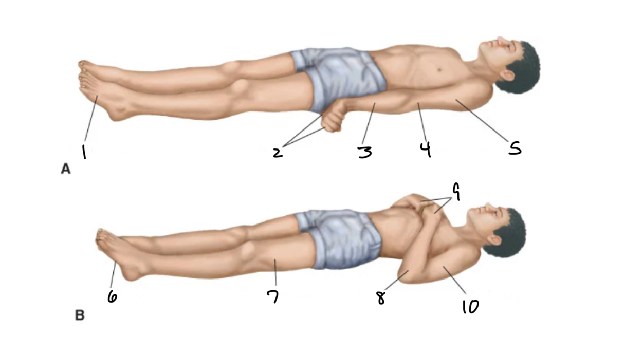 <p>what does posture “A” mean?</p>