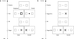 <ul><li><p><span style="background-color: transparent;"><span>Measures shifts of attentions across a scene which</span><strong><span> </span></strong><span>lead to faster and more accurate target detection</span></span></p></li><li><p><span style="background-color: transparent;"><span>When given a cue that attract the person attention they will do better on congruent trials than incongruent trials </span></span></p></li></ul><p></p>