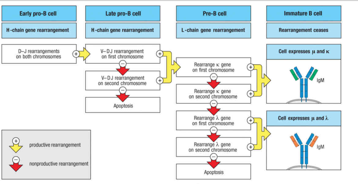 <p>Before checkpoint 2 diagram </p>