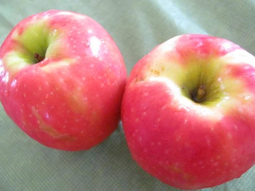 Medium-large, round or oblong, light skin tones, red-pink skin, sometimes waxy, light colored dots, some stripes.