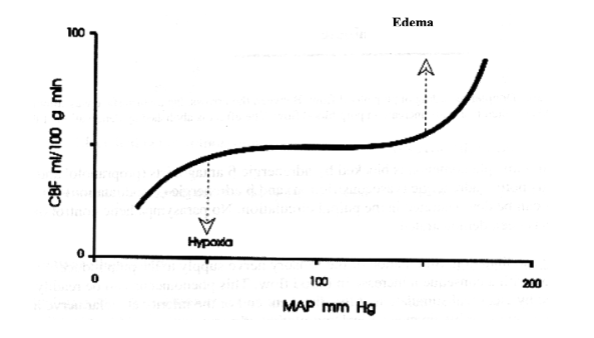 <p>cerebral blood flow </p>