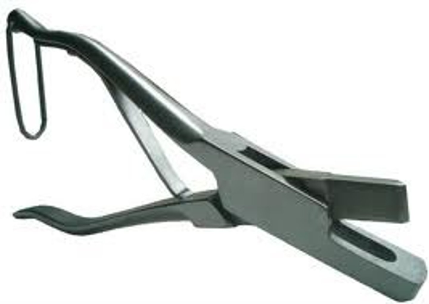 <p>used to identify pigs</p>