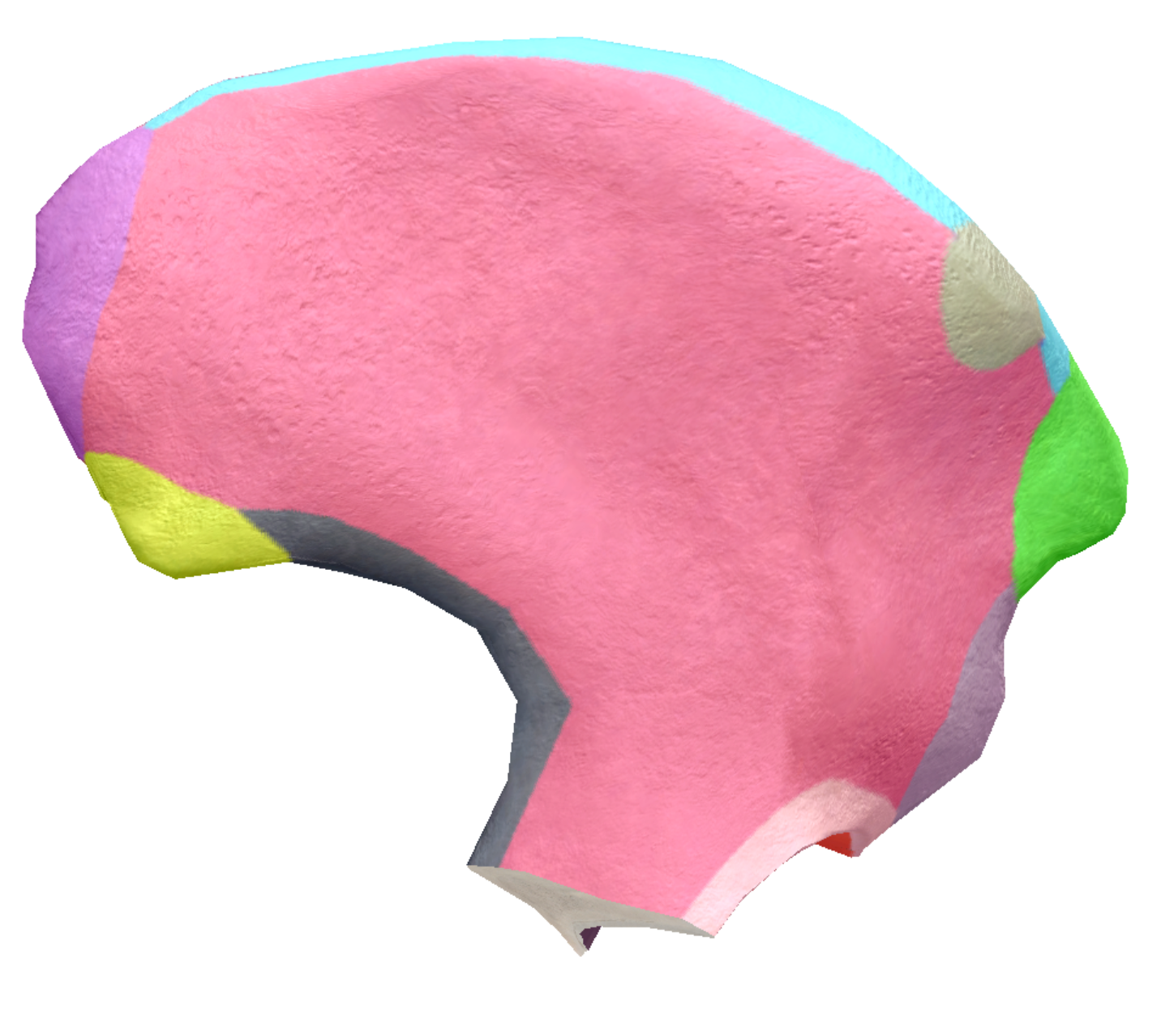 term image