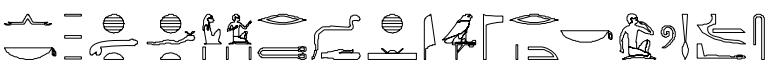term image