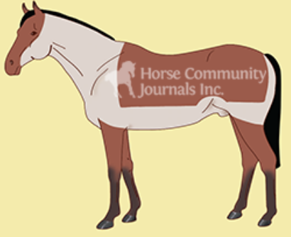 <ul><li><p><span style="background-color: transparent;"><span>Keeping hair on parts of the body that need to stay warm during winter</span></span></p></li><li><p><span style="background-color: transparent;"><span>Gets hair off places that get hot</span></span></p></li><li><p>the coat from the head, neck, belly, and flanks is clipped; hair is left on the legs and on the back and hindquarters int he shape of a quarter sheet</p></li><li><p>ideal for horses in medium work</p></li></ul><p></p>