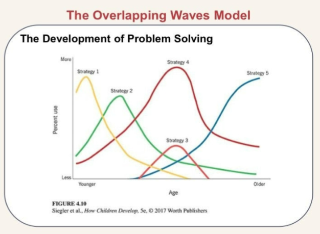 <p>researched how children choose and change strategies</p>