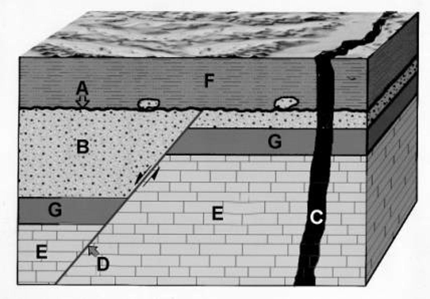 <p>Which answer gives the correct order of layers from oldest to youngest?</p><p>a. unconformity A,F,B,G,E, C,fault D</p><p>b. unconformity A,F,fault D,G,B,C</p><p>c. E,G,B,fault D, unconformity A,F,C</p><p>d. E,G,B,F, fault D, unconformity A,C</p>