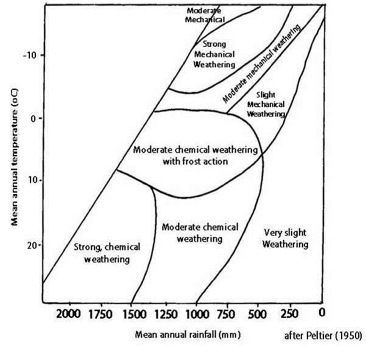 <p>It shows how weathering is influenced by the temperature and levels of rainfall </p>