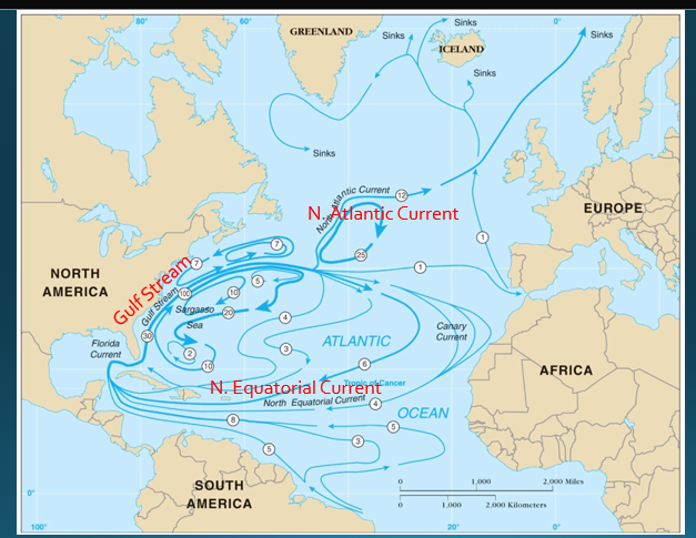 <img src="https://knowt-user-attachments.s3.amazonaws.com/33b6fd6f-36ba-4366-8756-c093f44dbaf4.png" data-width="100%" data-align="center"><img src="https://knowt-user-attachments.s3.amazonaws.com/789bbc2a-e122-4660-a35b-e63d50067c41.png" data-width="100%" data-align="center"><p>Gulf Stream- 7 to 30</p><p>N. Atlantic Current: By 25 and under 12</p><p>N. Equatorial Current: Under 6</p><p>Labrador Current: Current above 7</p>