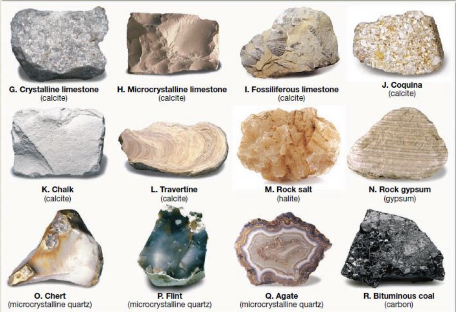 <ul><li><p>rocks formed soluble materials</p></li></ul>