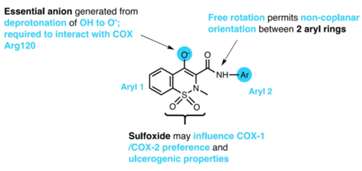<p>1. anion via deprotonation of enol= interacts with COX arg</p><p>2. non-coplanarity between 2 aryl rings</p><p>3. sulfoxide= influences COX1/COX2 preference</p>