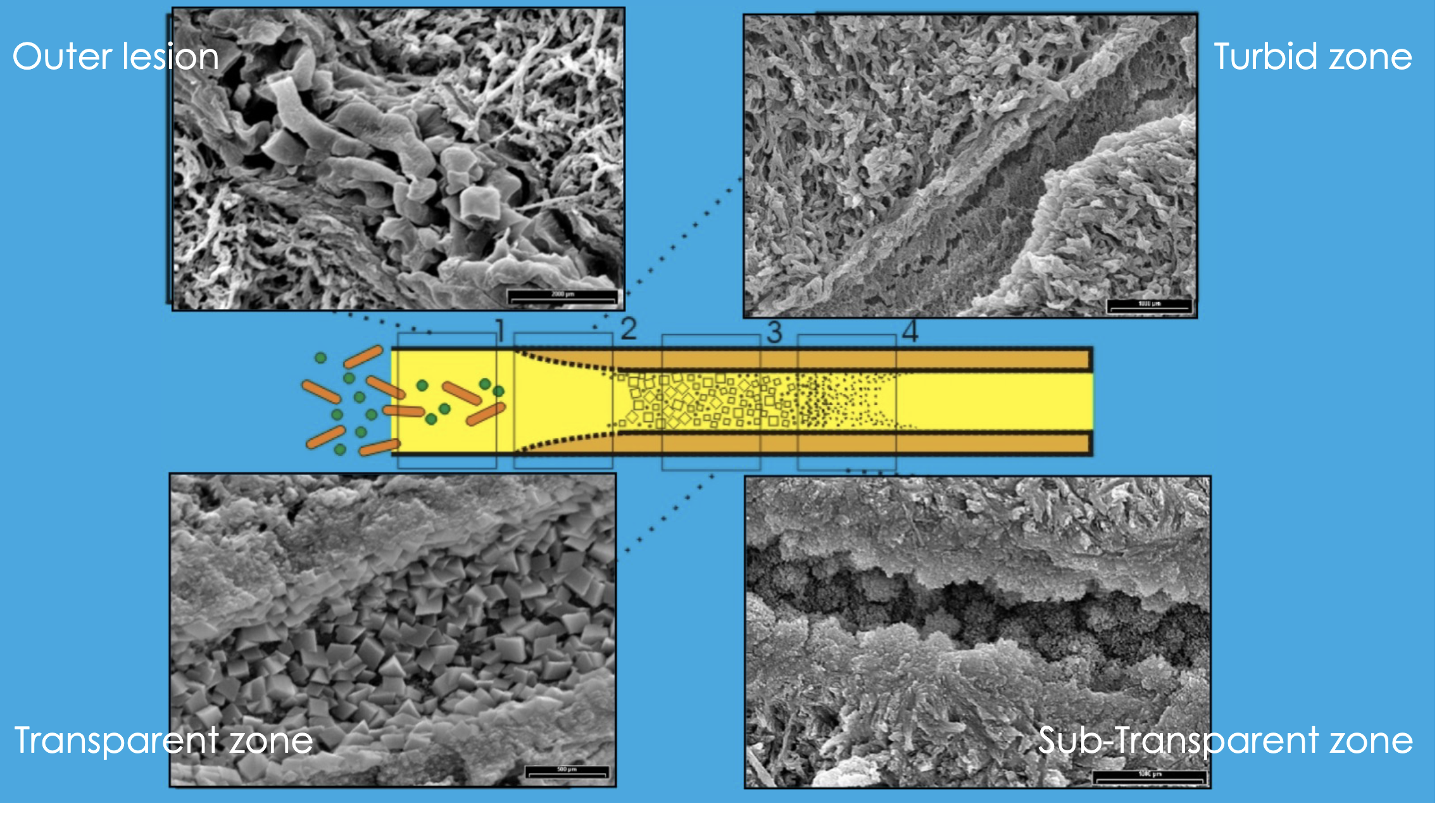 <p><span style="background-color: transparent;"><span>Both Statements are true</span></span></p>