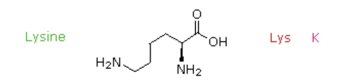 <p>Lys, K</p>