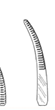 <p>Type of Forcep</p>