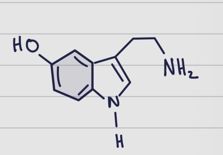 <p>De quelle molécule s’agit il ? </p>