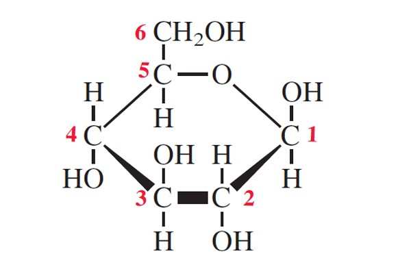 <p>OH on top of C 1</p>