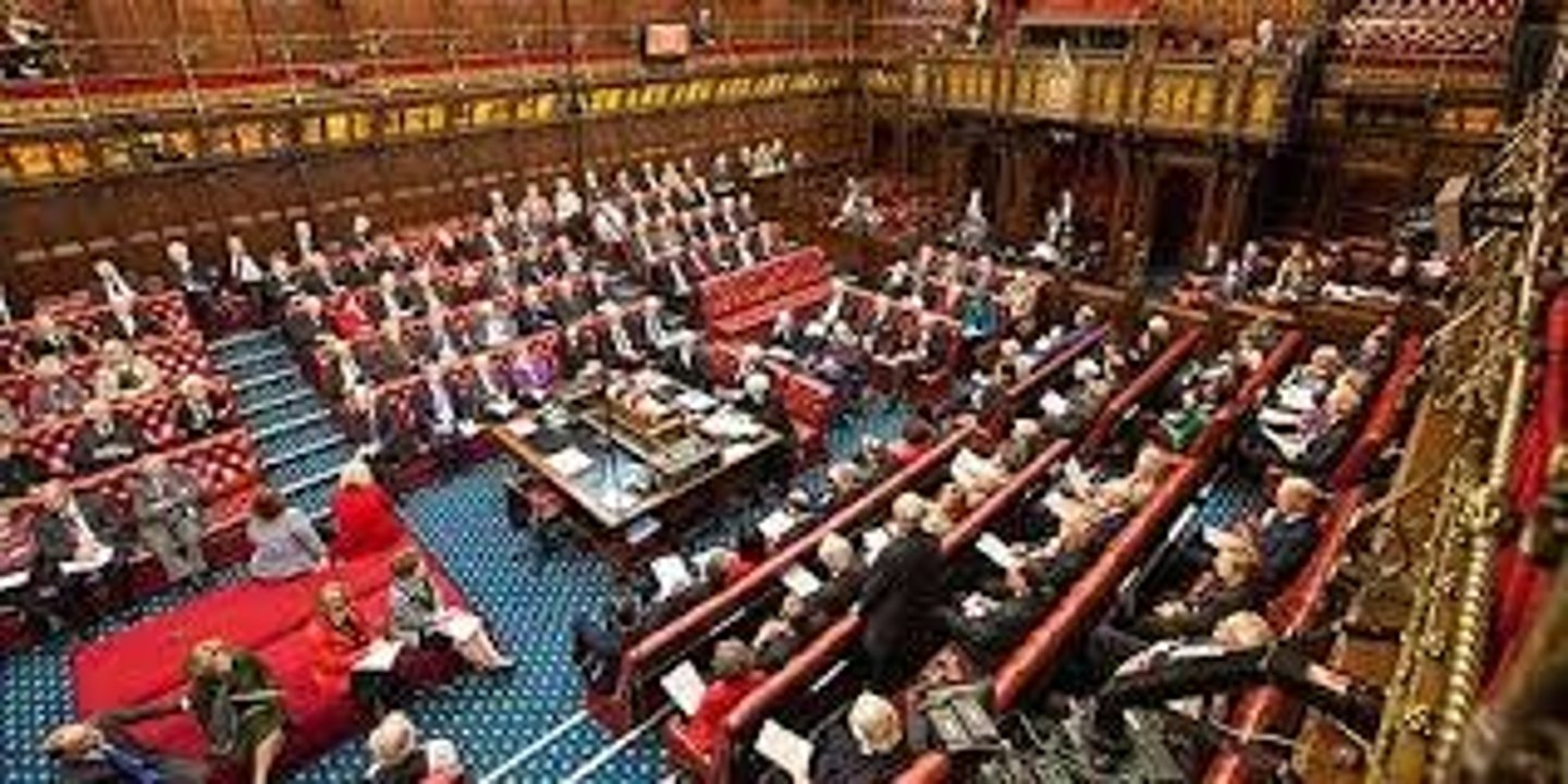 <p>Upper house of the British Parliament. Members are not elected but are appointed or hold special positions. Examples include life peers appointed by the monarch, bishops of the Church of England.</p>