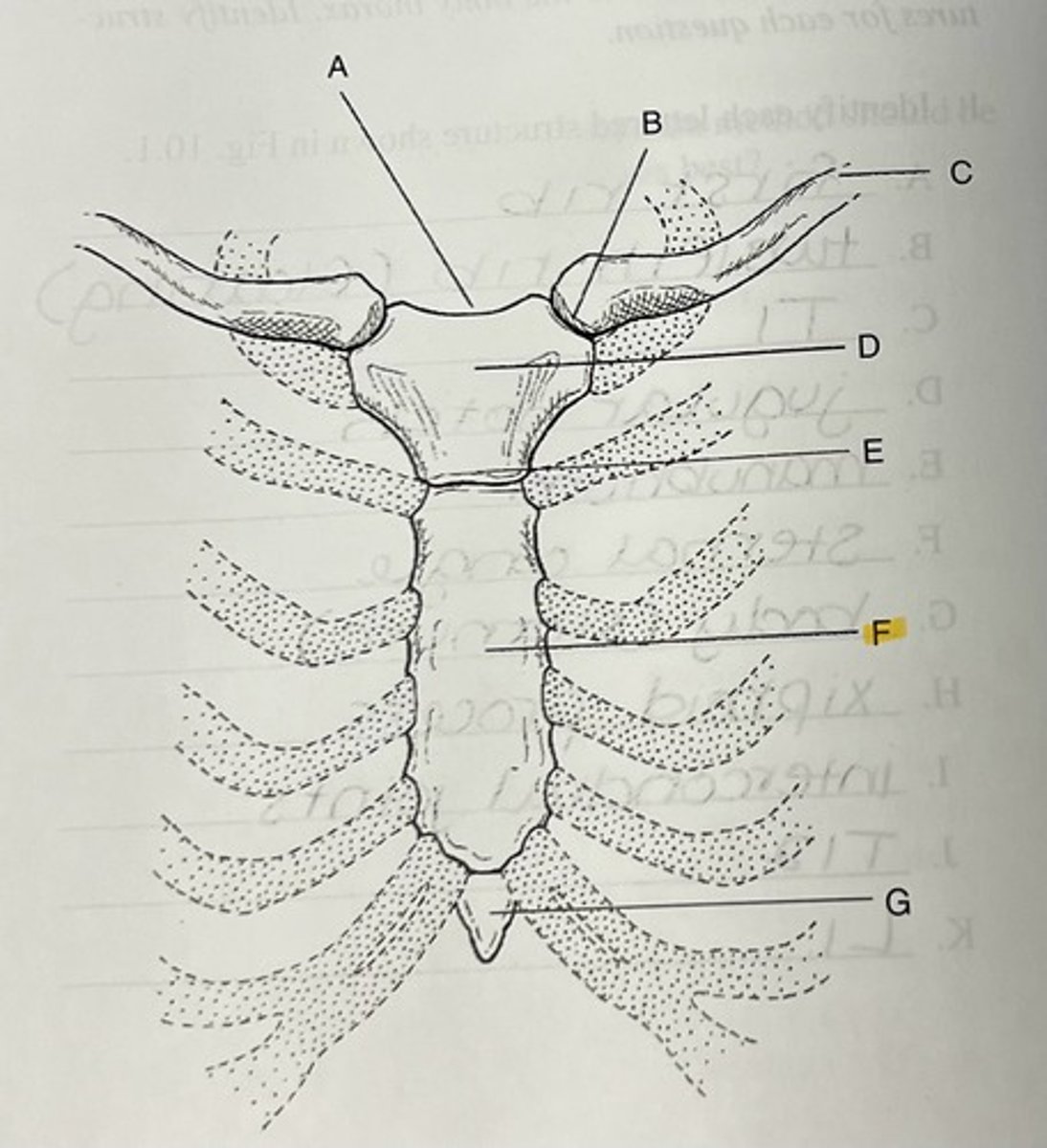 knowt flashcard image