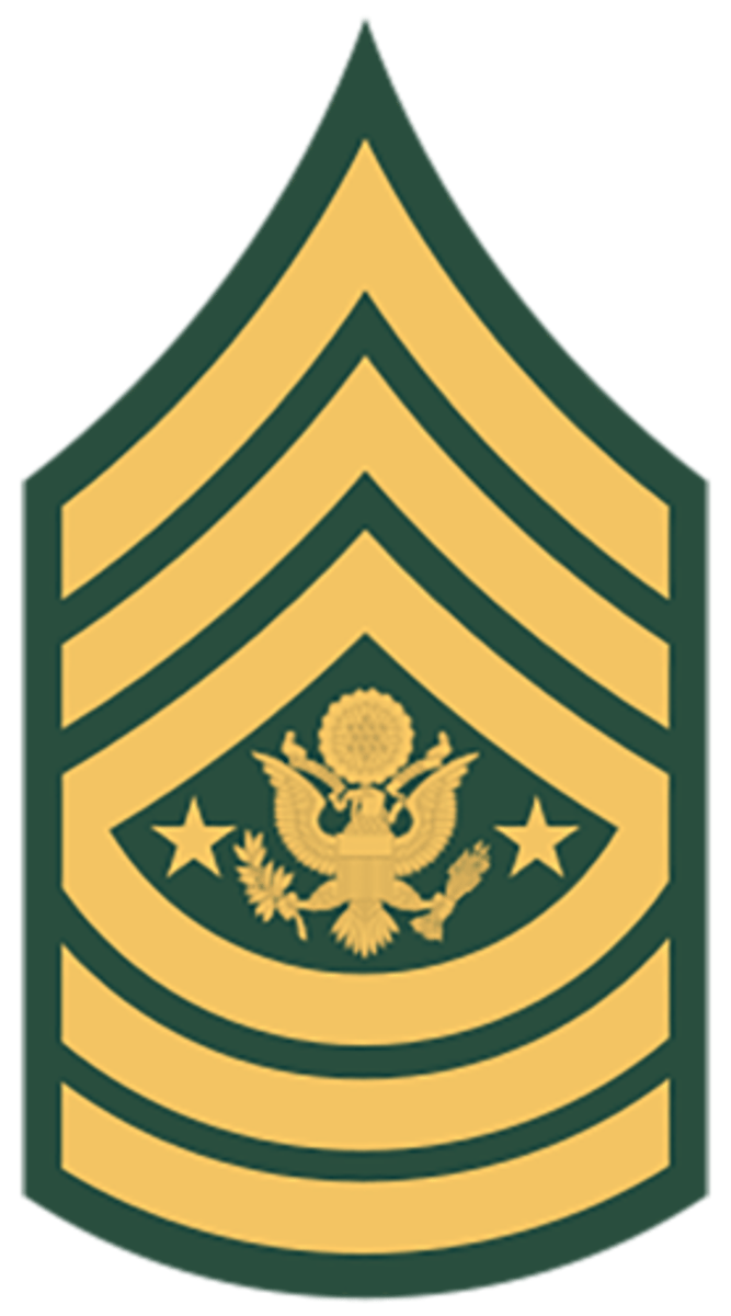 <p>Army: E-9</p>