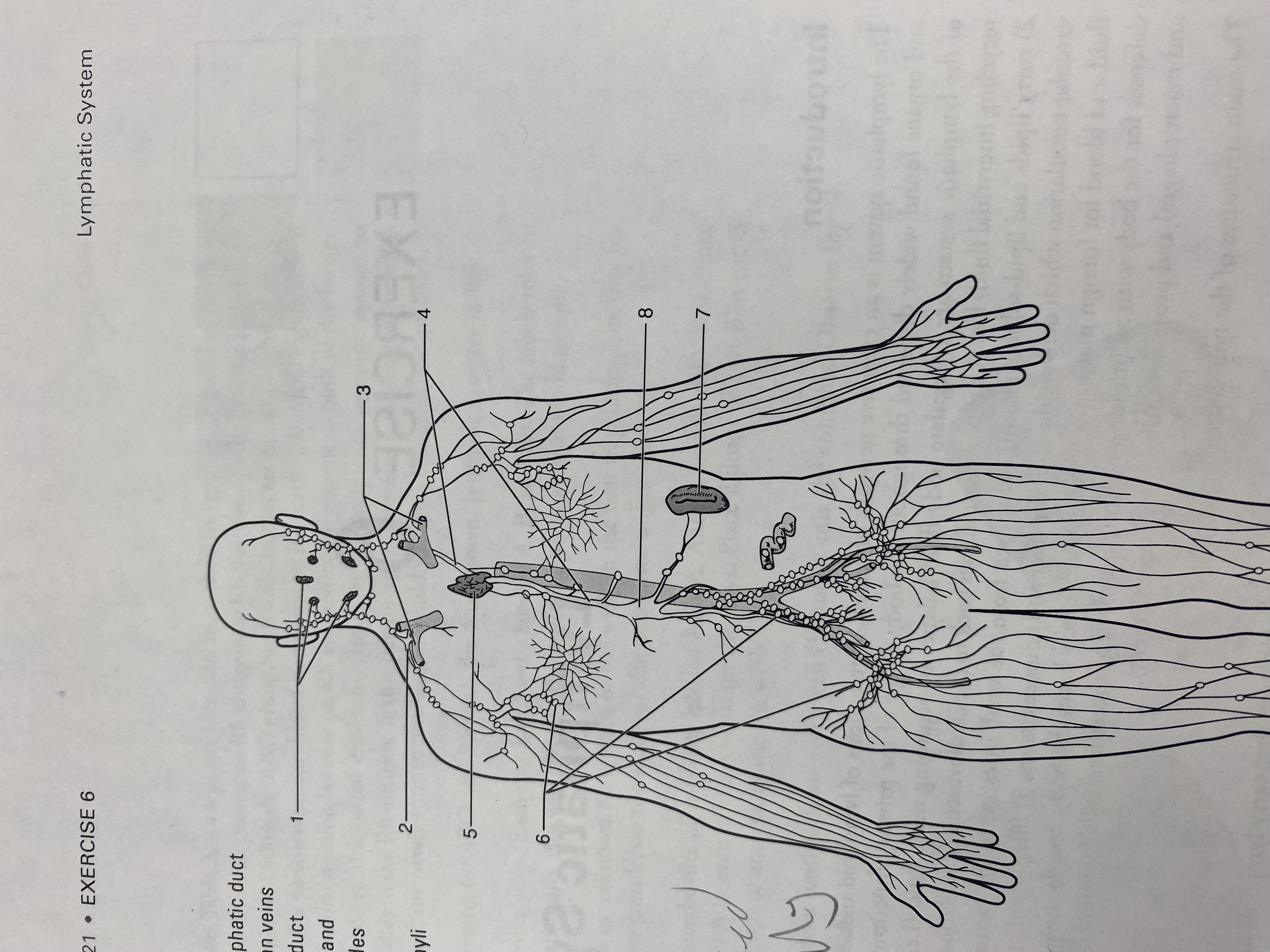 <p>#2?</p>