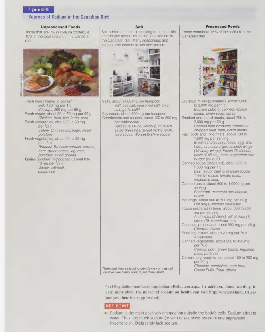 <ul><li><p>part of table salt (NaCl) and makes up 40% of its weight (1g salt contains 400mg)</p></li><li><p>greatest contributors of sodium in our diet are processed and fast foods</p></li><li><p>about 77% of our sodium intake comes from processed and fast foods</p></li><li><p>salt added during cooking and at the table contributes 11% of sodium intake, while 12% occurs naturally in foods</p></li></ul><p></p>