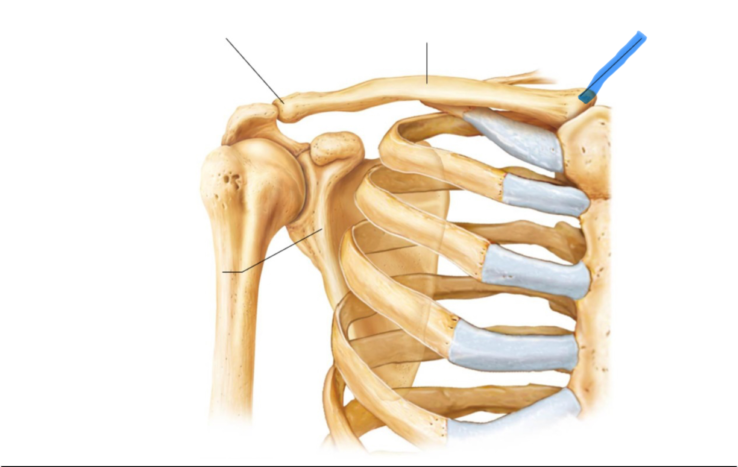 <p>What marking in this?</p>