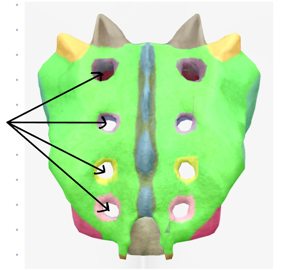 <p>What are these features?</p>