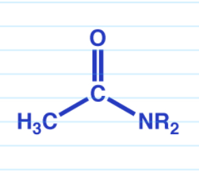 <p>+ Ammonia —&gt; 1 amide</p><p>+ RNH2 —&gt; 2 amide</p><p>+ R2NH —&gt; 3 amide</p>