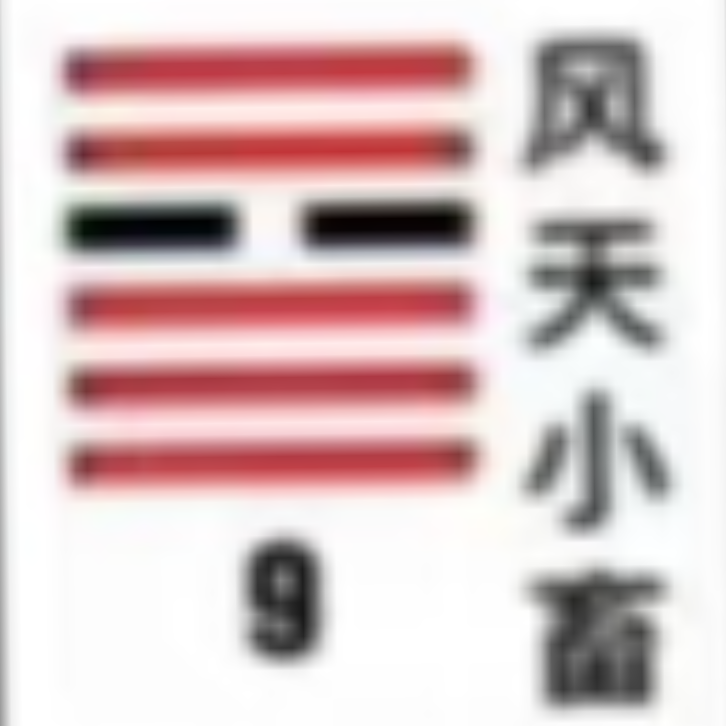 <p><strong>风天小畜(小畜卦)</strong></p>