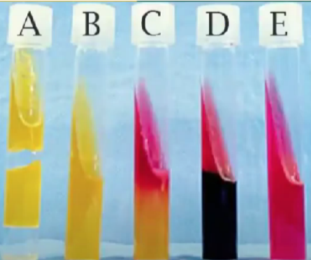 <p>Interpretation of the tubes ? </p>