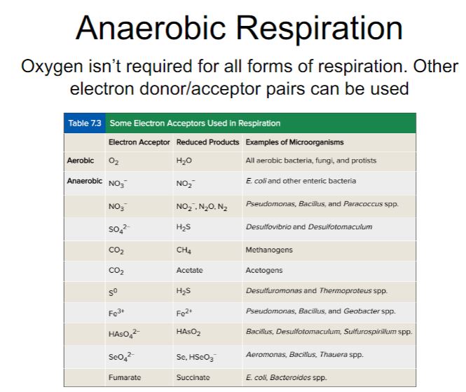 <p>Anaerobic respiration</p>