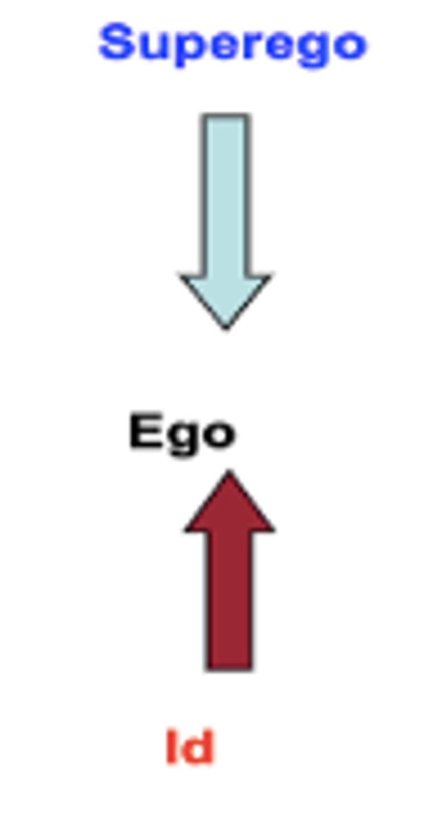 <p>id (basic) ego(median) superego(max)</p>