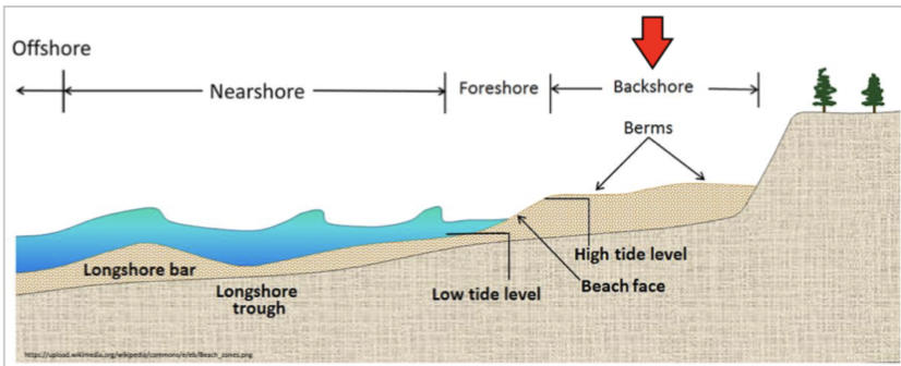            

Backshore

* Dry under normal conditions,      storms= wet
* Above high tide limit
* Beach and berms 

  

Foreshore

* Intertidal zone
* Low tide= dry and exposed
* Top of the berm to water line

  

Nearshore 

* Underwater, shallow water      processes
* Swash zone to deep water
* Wave breaking

      